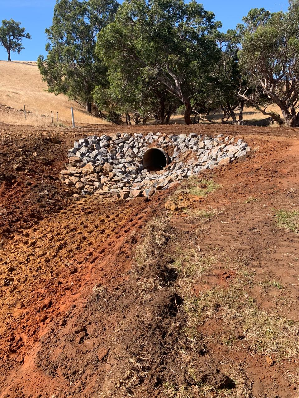 Tree Removal Service